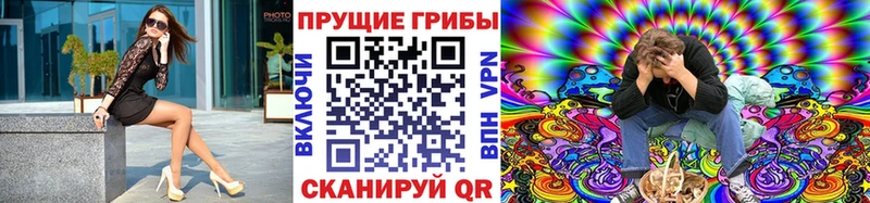 Галлюциногенные грибы мицелий где найти наркотики Севастополь