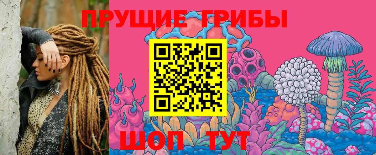 Севастополь  Псилоцибиновые грибы мухоморы  Псилоцибиновые грибы Magic Shrooms  Вход с VPN 
