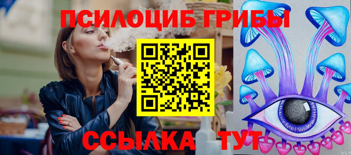 Псилоцибиновые грибы Psilocybine cubensis Севастополь