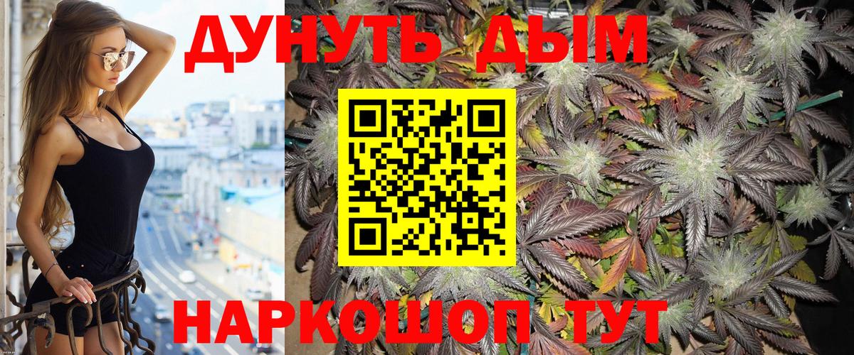 Конопля планчик Севастополь